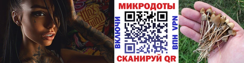 это телеграм  Балабаново  Галлюциногенные грибы мицелий 